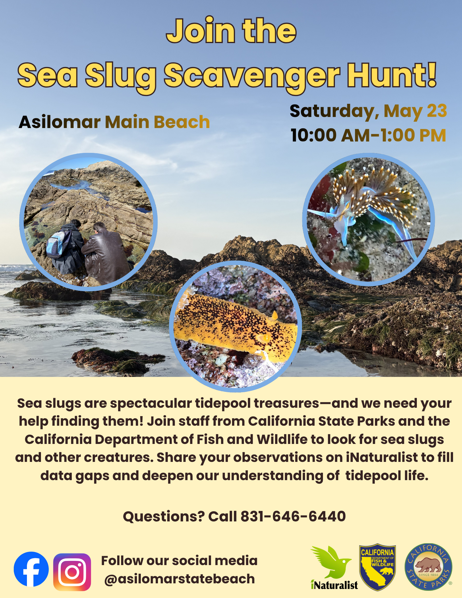 Event flyer with details for Sea Slug Scavenger Hunt.
